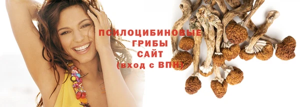2c-b Костерёво