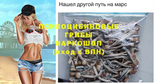 мескалин Коряжма