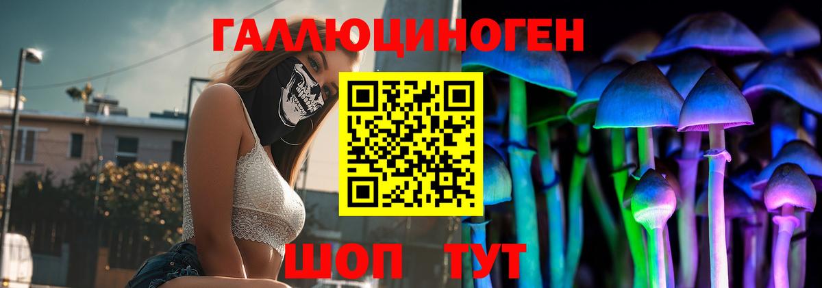 ГАШИШ Городец