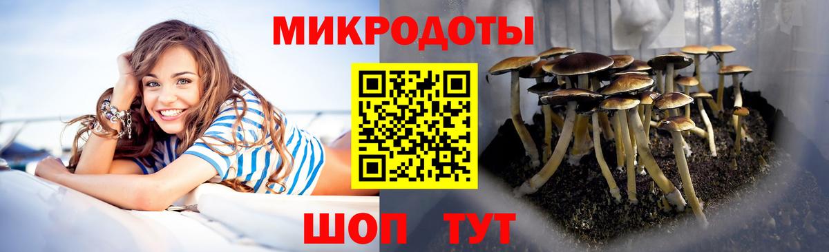 Псилоцибиновые грибы Psilocybine cubensis Городец